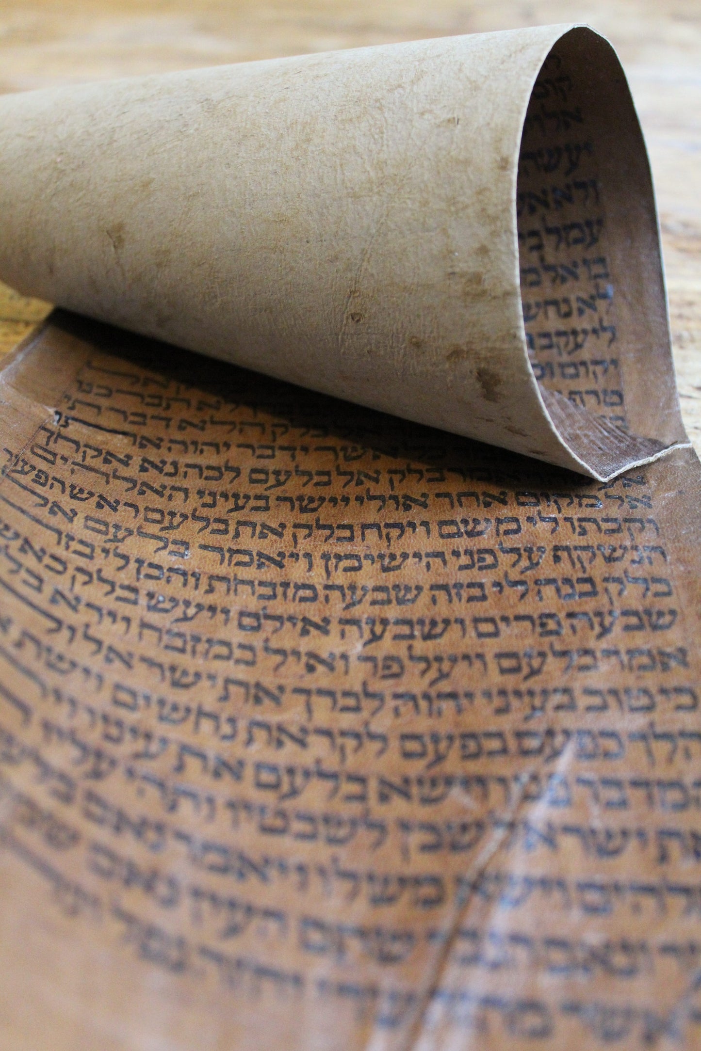 Zeer oude Torah rol fragment uit Marokko (Numeri) - Rootz Gallery