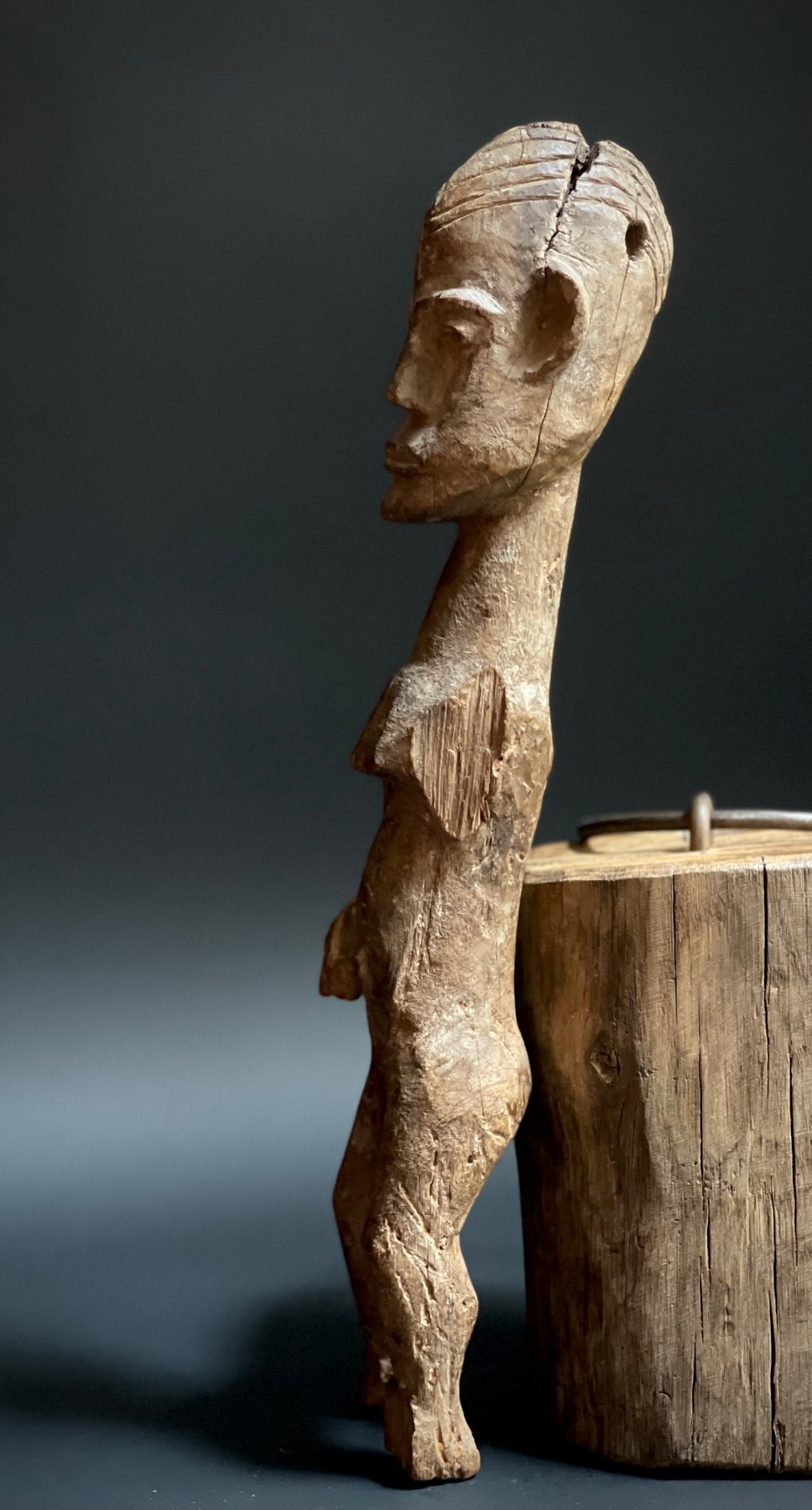 Hampatong van de Dayak uit Borneo