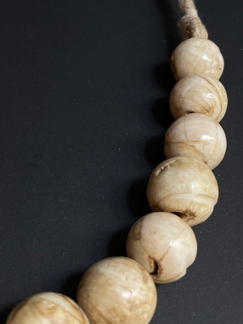 Collier de coquilles de conques fossiles du Népal