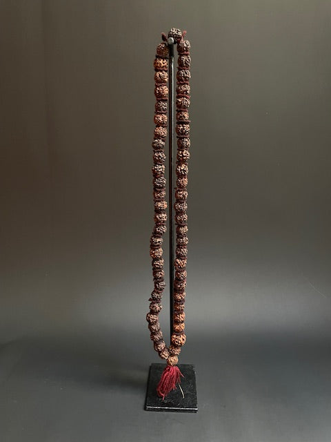 Lange rudraksha mala uit India