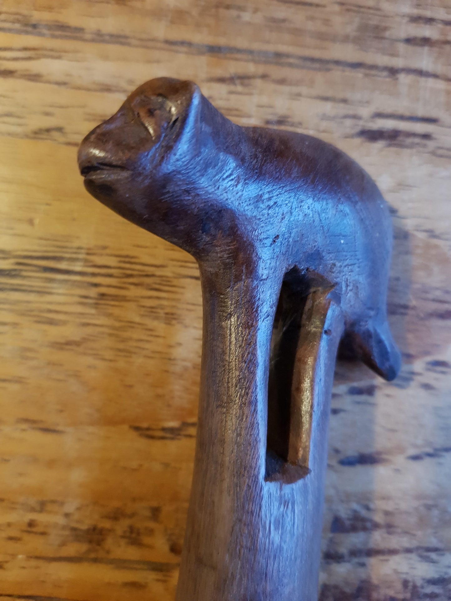 Kameleon Senufo katapult uit Burkina Faso - Rootz Gallery