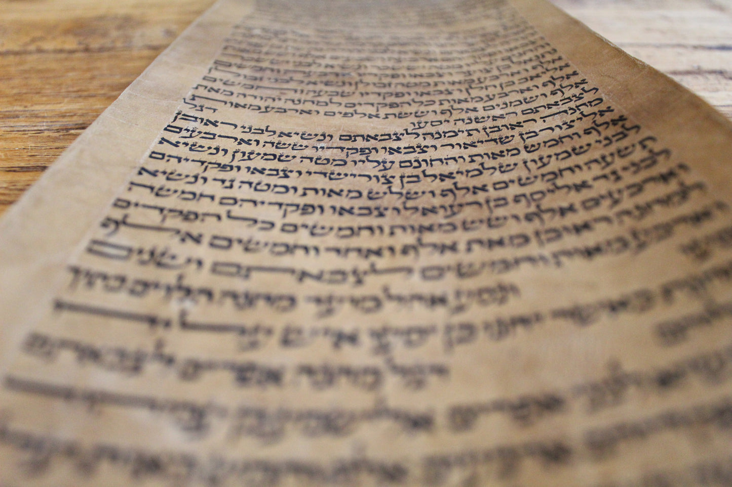 Zeer oude Torah rol fragment uit Turkije - Rootz Gallery