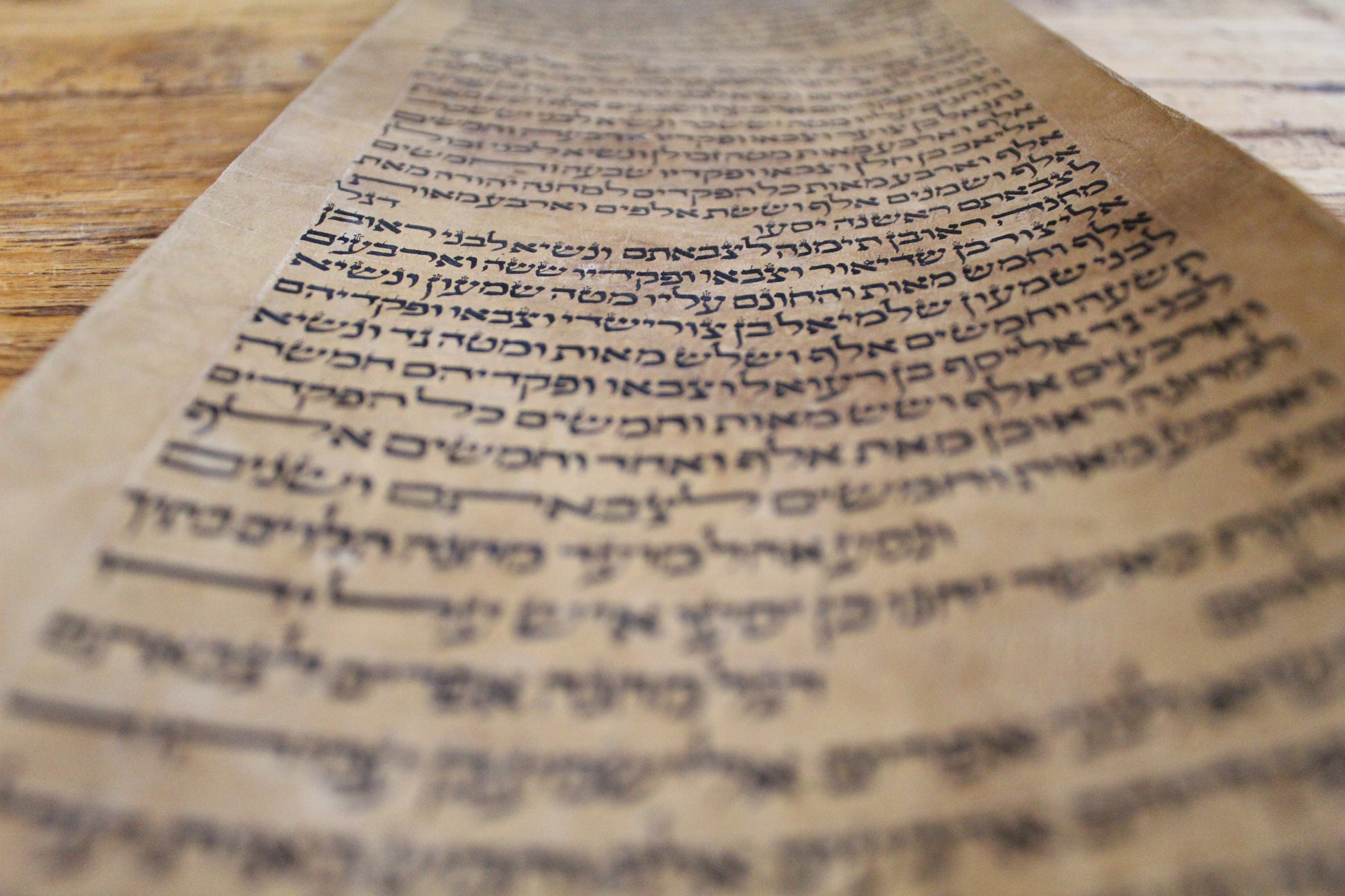 Zeer oude Torah rol fragment uit Turkije - Rootz Gallery