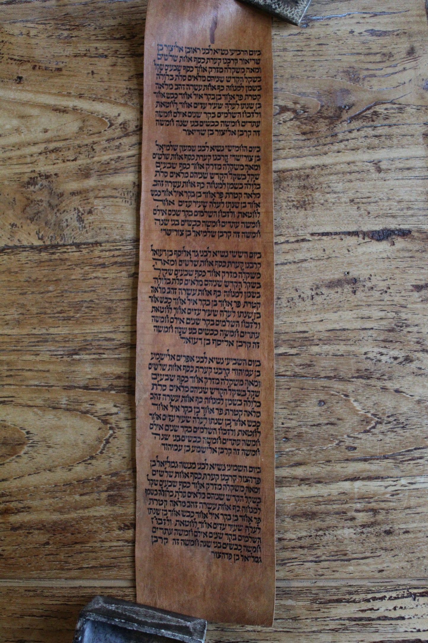 Zeer oude Torah rol fragment uit Jemen (Numeri 7) - Rootz Gallery