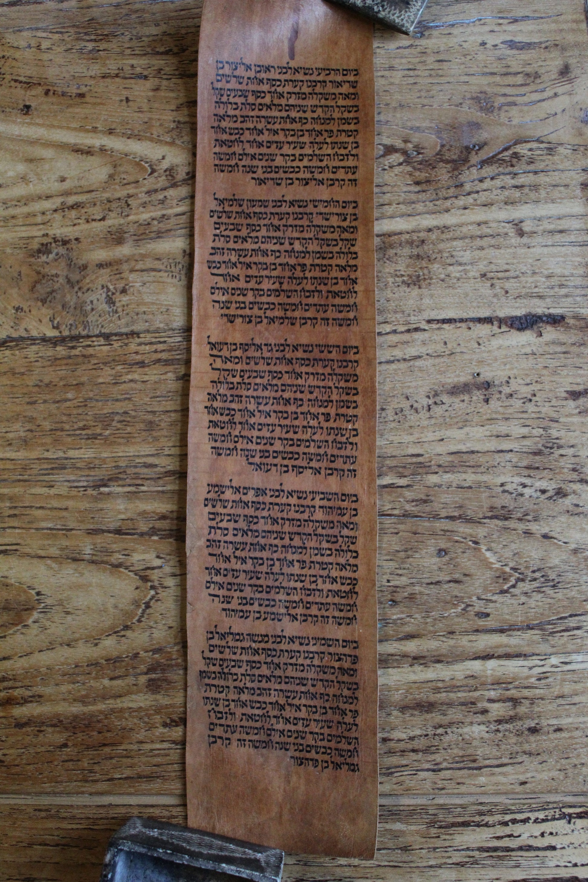 Zeer oude Torah rol fragment uit Jemen (Numeri 7) - Rootz Gallery