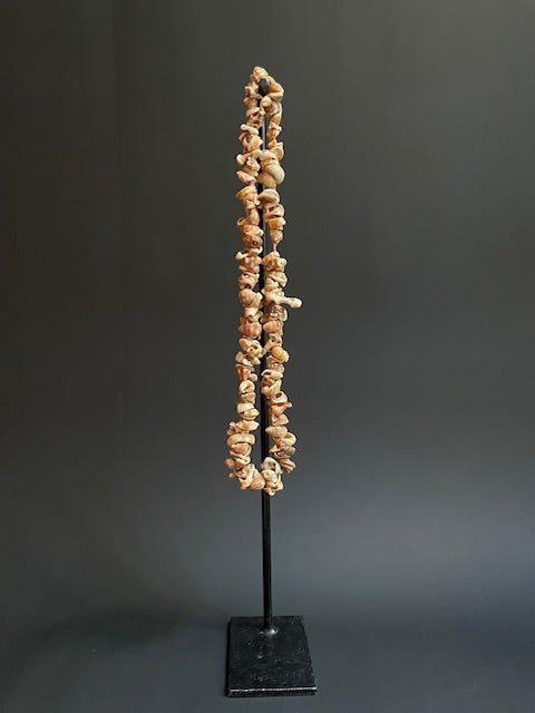 Collier de coquillages de Papouasie Nouvelle Guinée