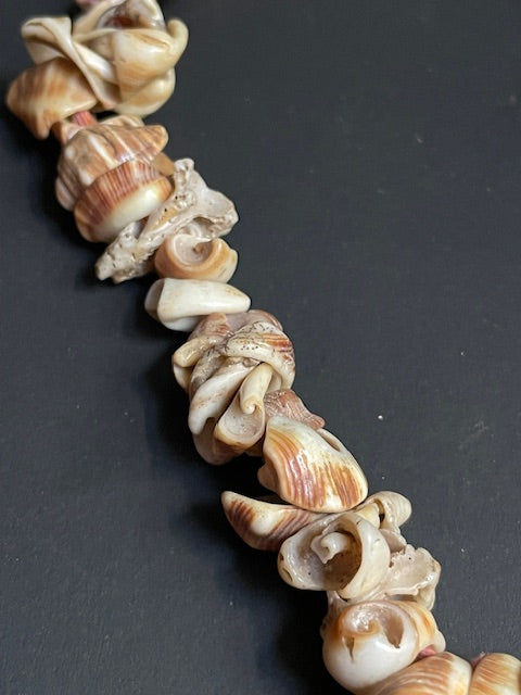 Collier de coquillages de Papouasie Nouvelle Guinée