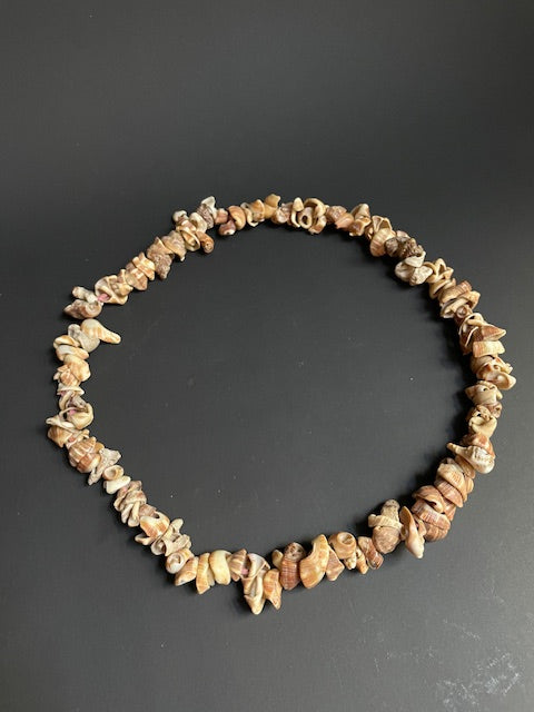 Collier de coquillages de Papouasie Nouvelle Guinée
