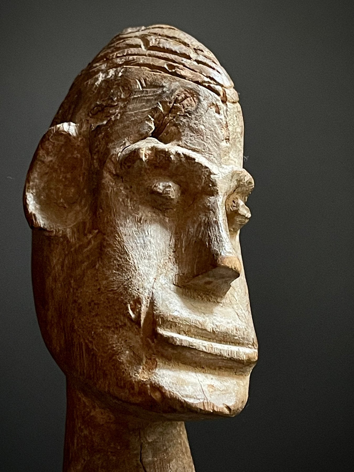 Hampatong van de Dayak uit Borneo