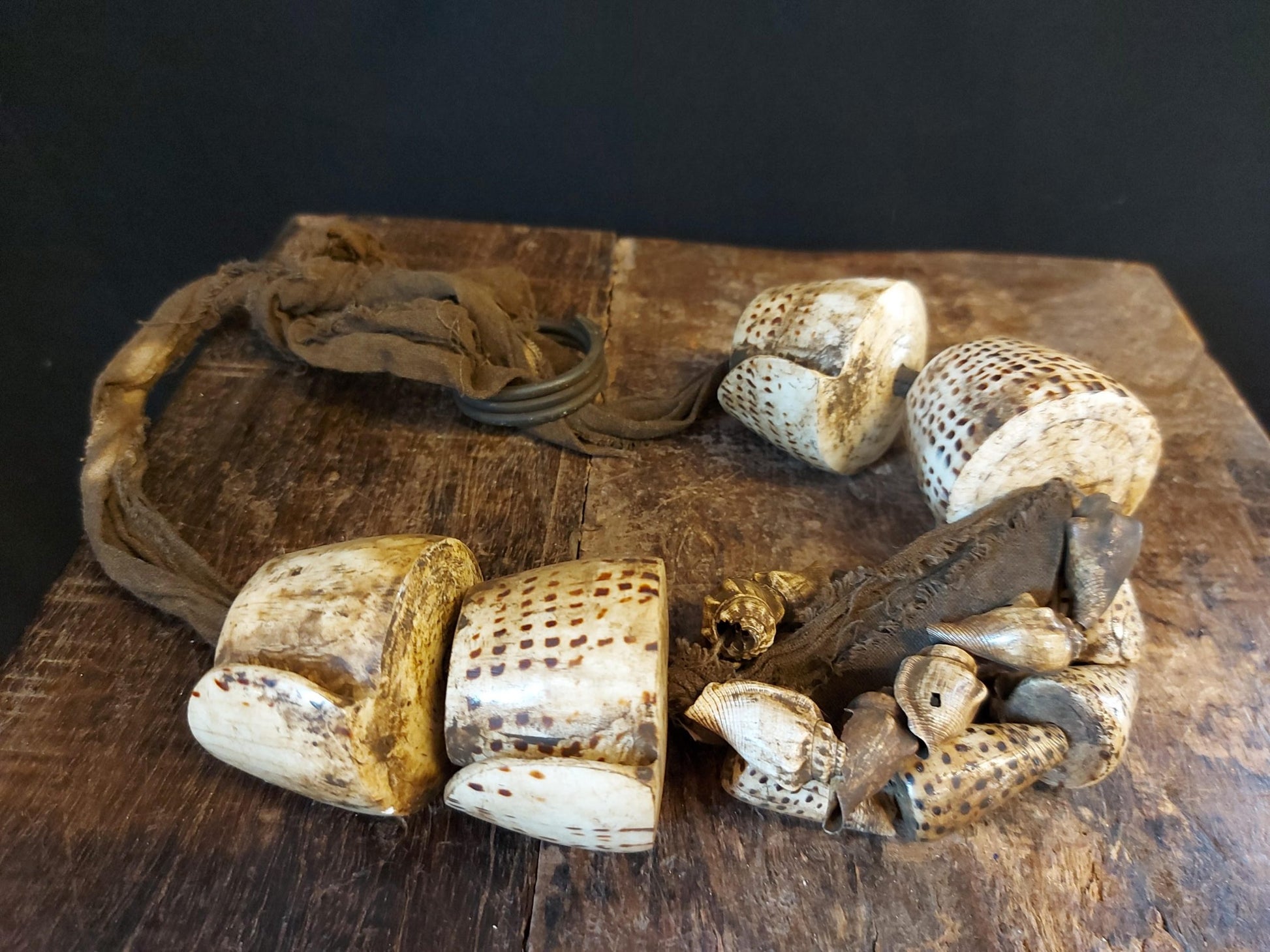 Ifugao schelpen riem uit Luzon, Filipijnen - Rootz Gallery
