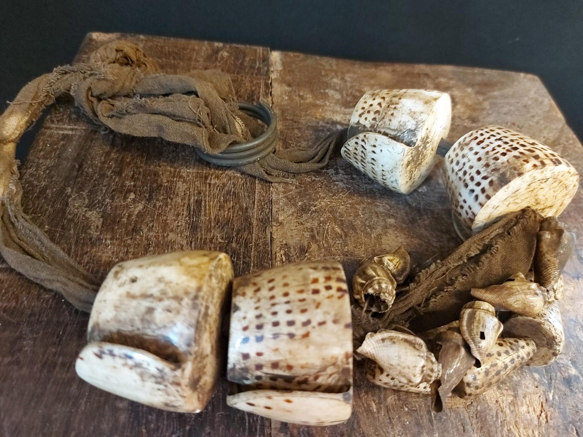 Ifugao schelpen riem uit Luzon, Filipijnen - Rootz Gallery