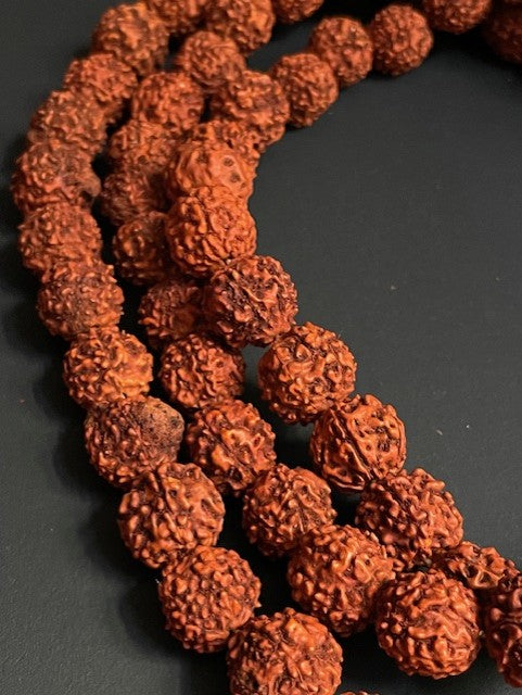 Très long mala rudraksha d'Inde