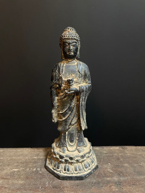 Standing Medicine Buddha